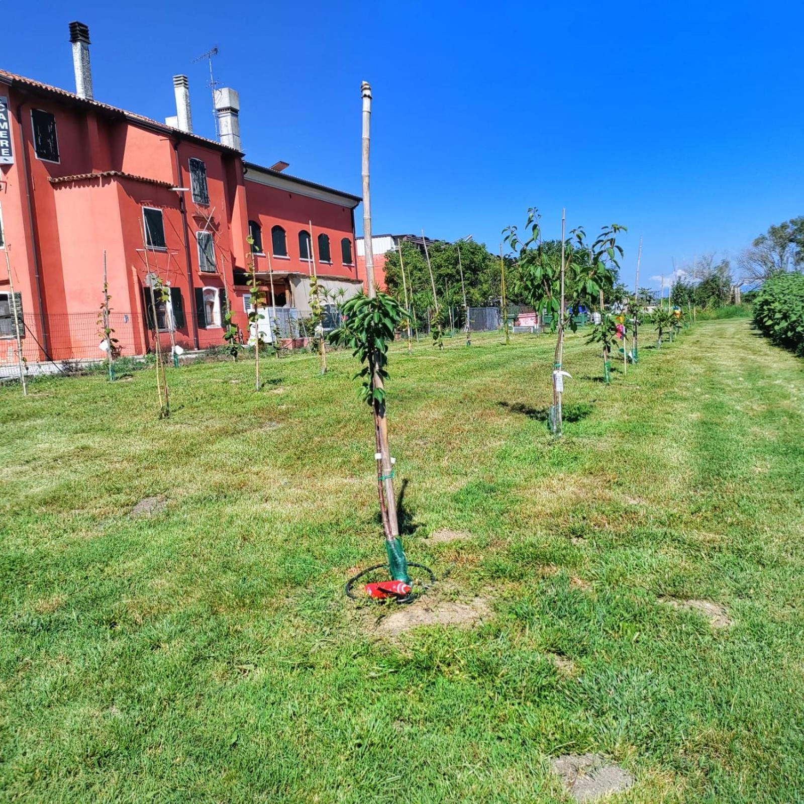 Quadrifoglio Relax Pensionat San Donà di Piave Eksteriør billede