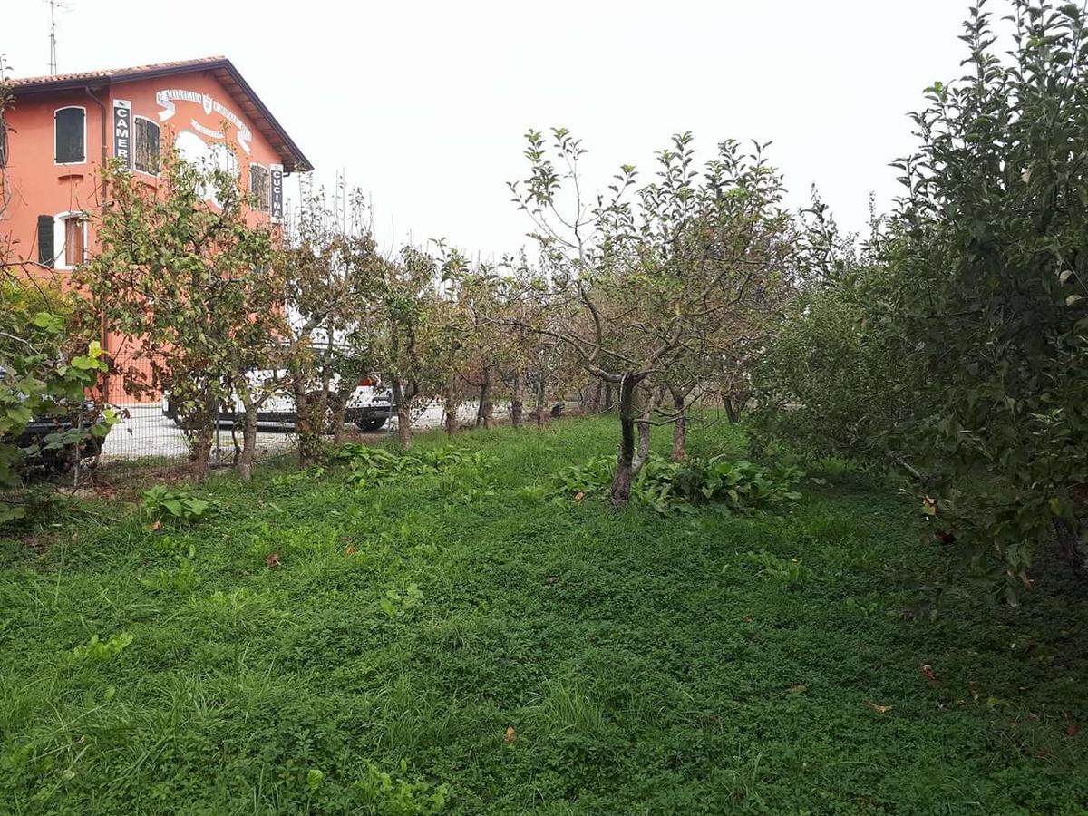Quadrifoglio Relax Pensionat San Donà di Piave Eksteriør billede